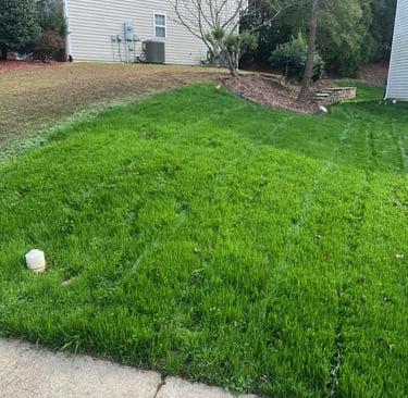 Well-kept residential lawn in Holly Springs after professional lawn treatment services