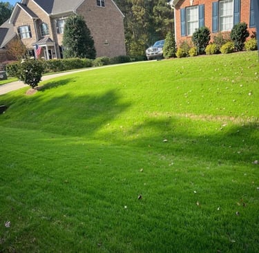 Beautiful residential lawn in Fuquay-Varina with thick grass and clean edges