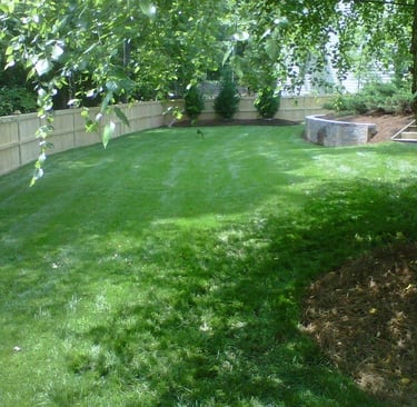 Healthy green residential lawn maintained by local lawn care experts in Cary