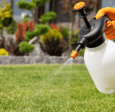 Professional lawn spraying service applying chemical treatments to healthy turf grass
