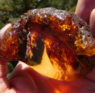 natural baltic amber