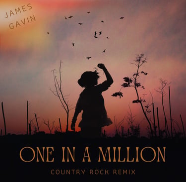 One in a Million (Country Rock Remix) - Single