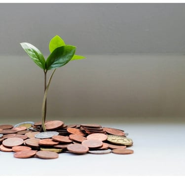 Photo by micheile henderson on Unsplash