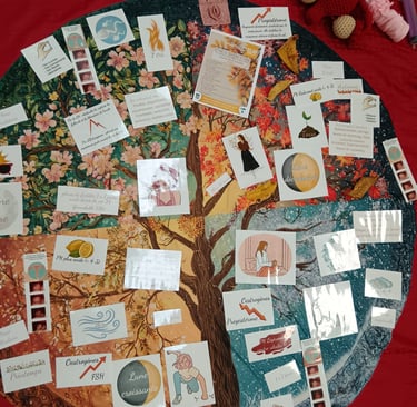 cycle menstruel en 4 saisons