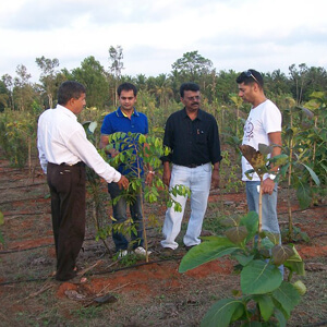 a group of men standing around a tree