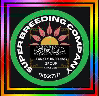 a colorful picture of a turkey turkey turkey turkey turkey turkey turkey turkey turkey turkey turkey