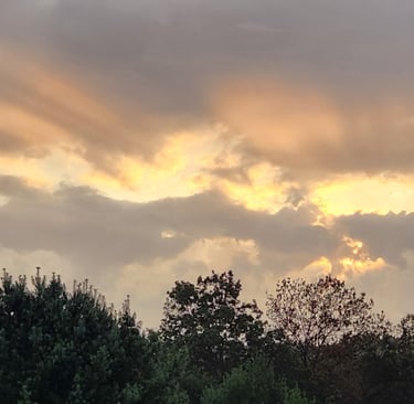 morning sun shining through the clouds over trees