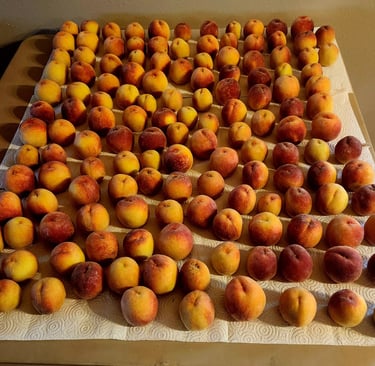 a table with a bunch of peaches 