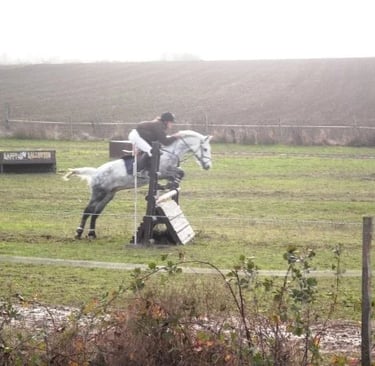 concours cross poney cso obstacle