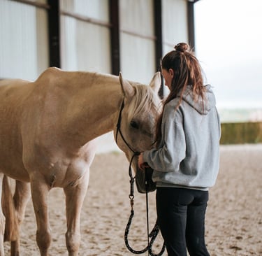 cheval anxieux respiration meditation cavaliere