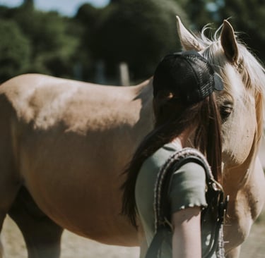 couple cavalier cheval dans un pre
