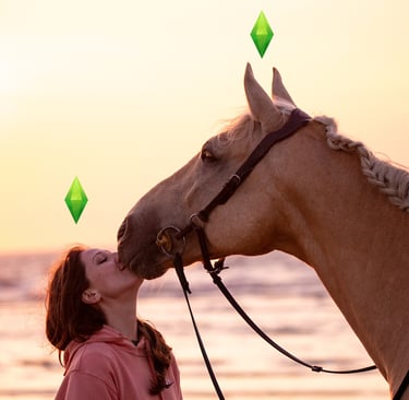 es sims cheval cavalier plage coucher de soleil