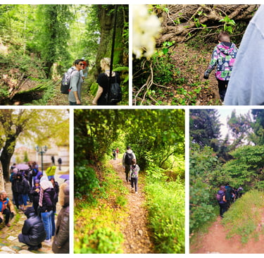 guided herbal walks at Portaria, Tsagkarada and Stagiates with medical herbalist Emmanouil Manos