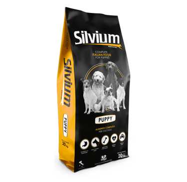 Silvium Puppy