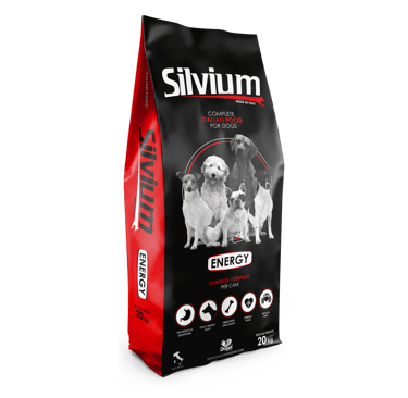 Silvium Energy