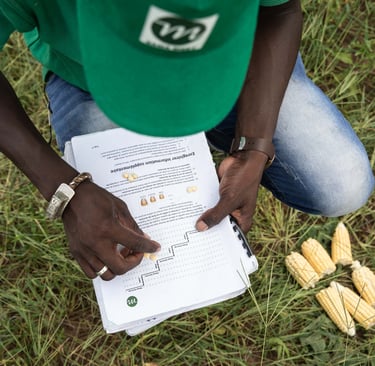Field monitoring in action: myAgro agent compares myAgro field to a non-myAgro field.
