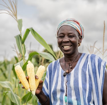 A good yield is crucial for smallholder farmers reliant on fields for food.