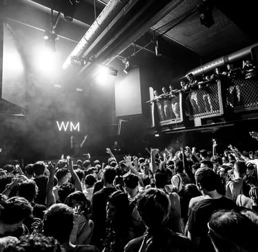 a black and white photo of a large audience inside a club enjoying a concert