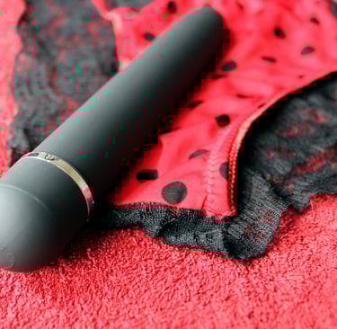 panties with a vibrator laying on them on a red waterproof blanket