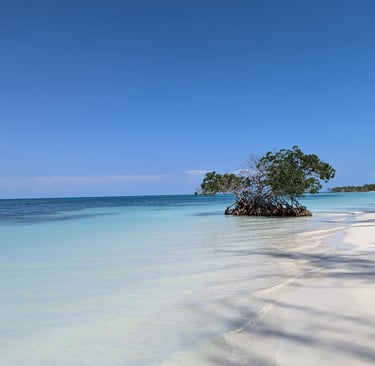 Cayo Jutías near Viñales in Cuba