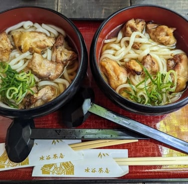 Udon noodles in Nara Park