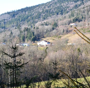 lieu et environnement autour de la maison