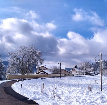 Route d'accès à la maison