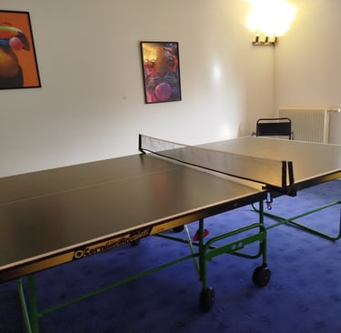 table de ping-pong