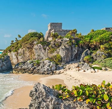 Spend the day in the clear waters of Cozumel and Costa Maya.