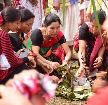 Ali-Aye-Ligang festival, Mishing, Assam
