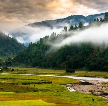 Sangti Valley, Arunachal Prades