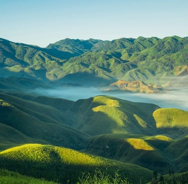 Djukou Valley, Kohima, Nagaland