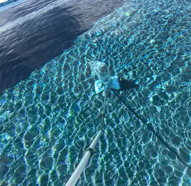 78231 Shavano Park Texas swimming pool cleaning service