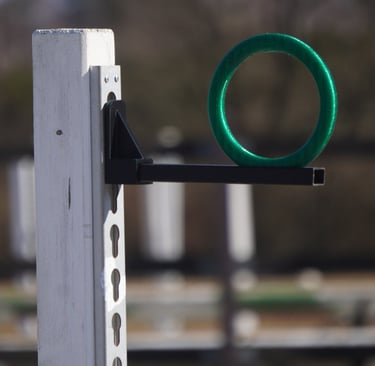 equimovex holder plus training rings