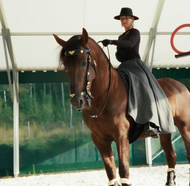 chapskirt by equimovex skirt for horse riding
