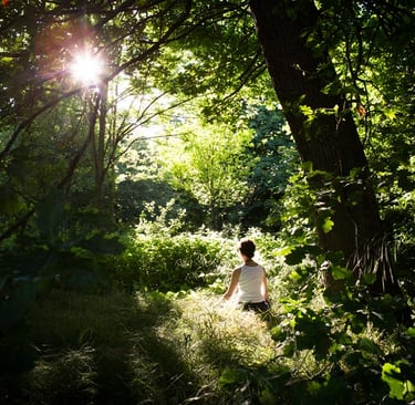 peur changement interieur printemps foret soleil lumineux