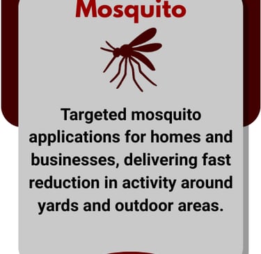 mosquito banner