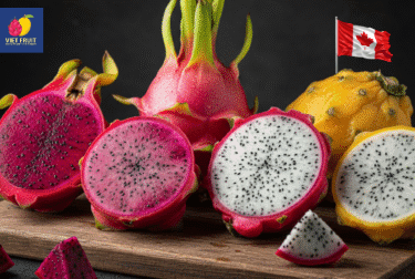Vietnamese dragon fruit exported to the Canadian market