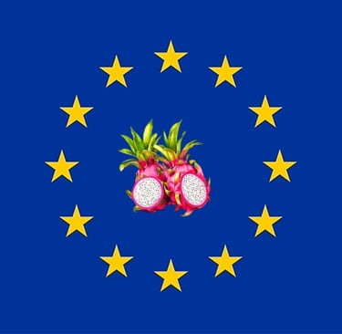 Dragon fruit exported to Europe