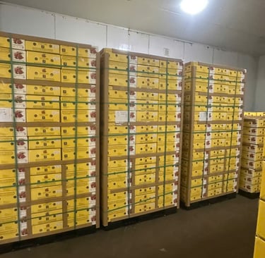 VIET FRUIT coolers