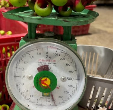 Of each fruit, the weight is taken