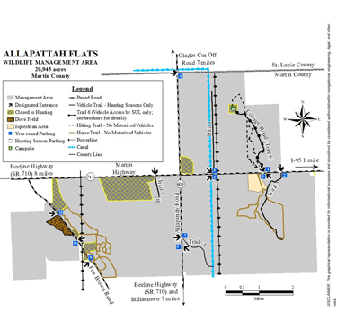 Allapattah Brochure Map Example