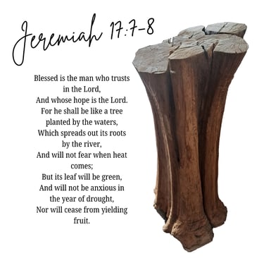 This is the tree that God brought to Pastor Keith and Keturah, and the Bible Verse Jeremiah 17:7-8