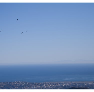 Panoramic aerial view of a coastal city and blue ocean with birds flying in a clear sky.