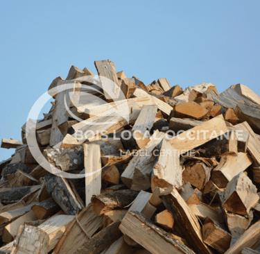 un tas de copeaux de bois posé sur un tas de bois