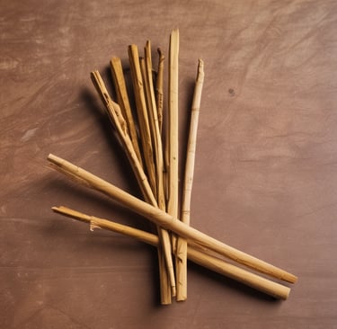 white concrete building during daytime