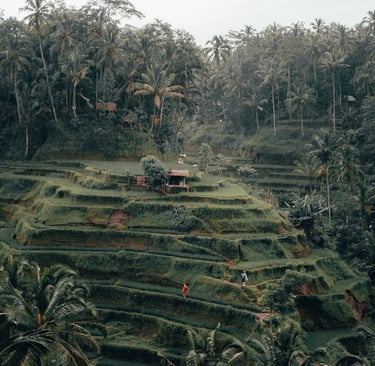 Bali using AI travel suggest