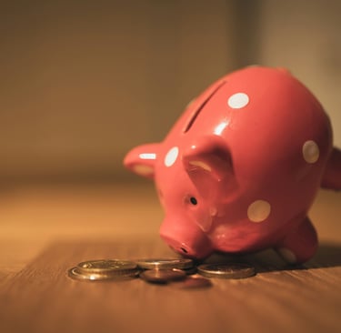 What is money piggy bank wondering what money is