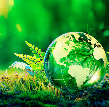 um globo do planeta Terra rodeado de natureza rica e viva como plantas verdes