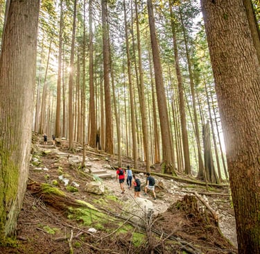 a group of people hiking up a mountain in Vancouver